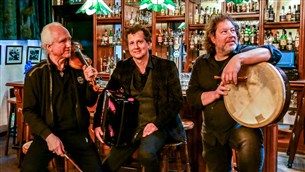 Brogans Bar - Iers Muziektrio als Welkom bij Muziekburo.nl