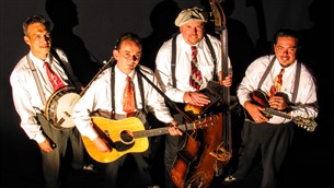 The Oldies - Golden oldies bij Muziekburo.nl